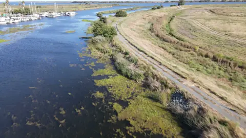 Brother's Island Marina — wetlands, river, open water