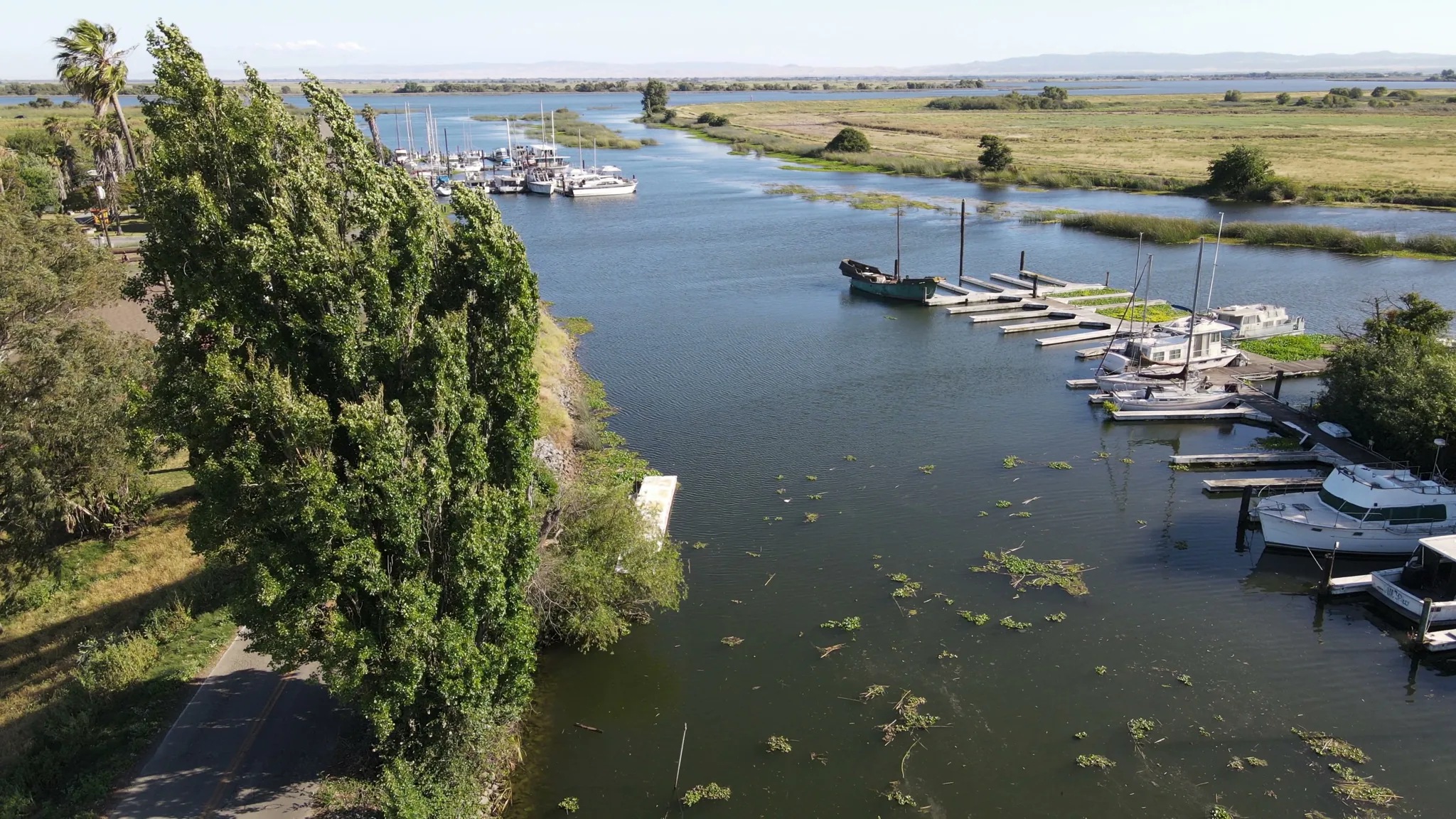 Aerial view of Brother's Island Marina — wetlands, river, boats