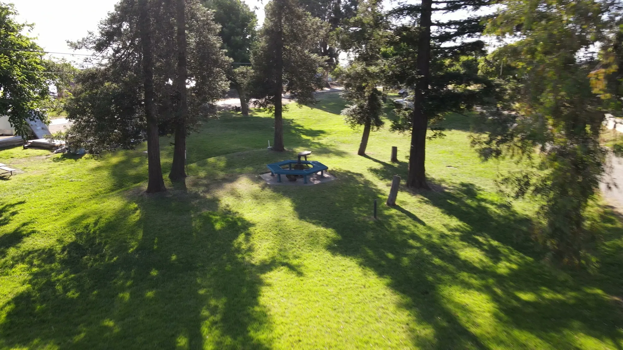 Green campground under shade trees at Brother's Island Marina